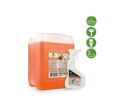 Средство для удаления известкового налета и ржавчины "Ecoline" Сантокс, триггер, 500 мл 12 шт/кор РОССИЯ 143005